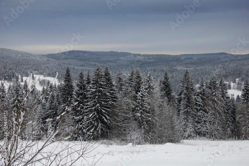 Winter in Bavarian Forest National Park.