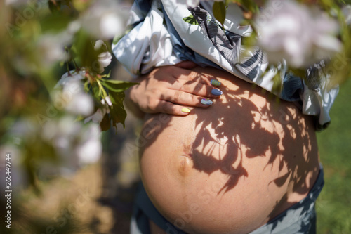 Close up shot of a last month belly - Young traveler pregnant woman enjoys her leisure free time in a park with blossoming sakura cherry trees petting her soon to be born baby with a hand