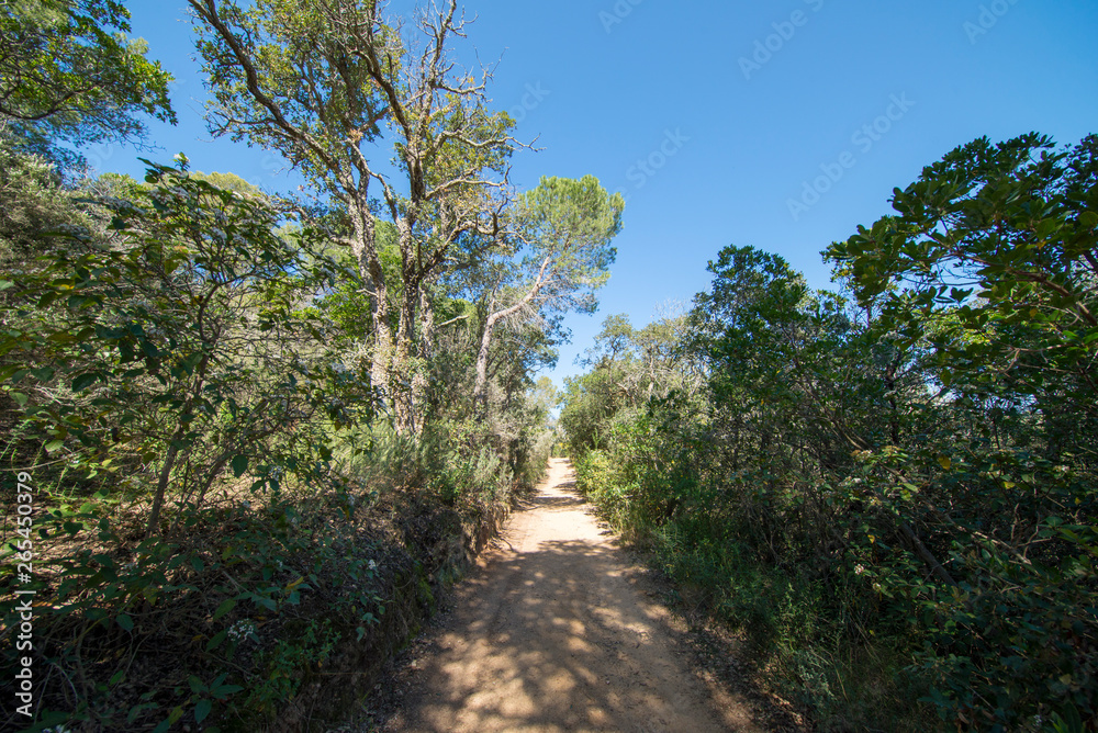 Road to the Moorish cove in Tossa de Mar Road to the Moorish cove in Tossa de Mar