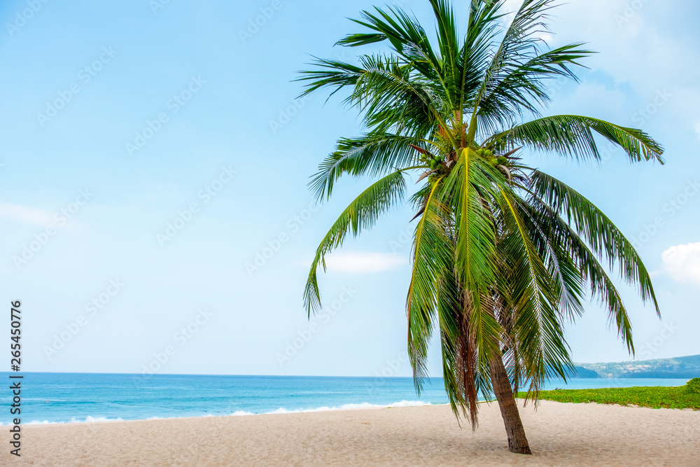 Landscape of coconut palm tree, Beautiful blue sea tropical beach. Summer background concept.