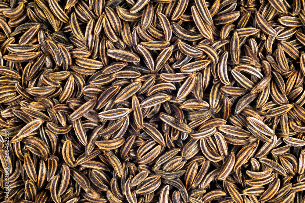 Macro shot of dried organic caraway seeds. Caraway seeds background. Natural seasoning texture. Close up.