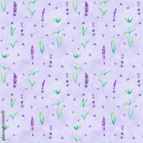 Lavender flowers watercolor...