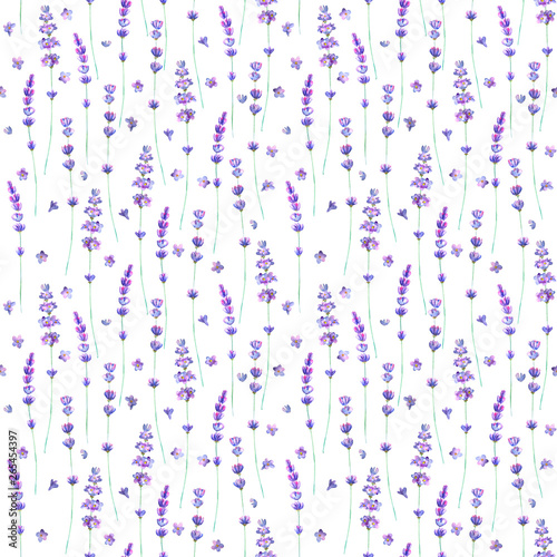 Lavender flowers watercolor...