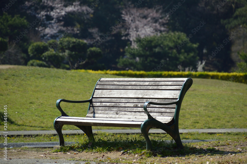 背景の林の中にピンク色のサクラが咲いている公園の芝広場にベンチがある風景