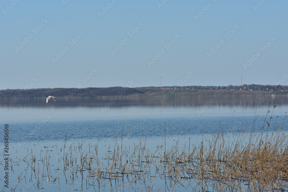 lake in spring