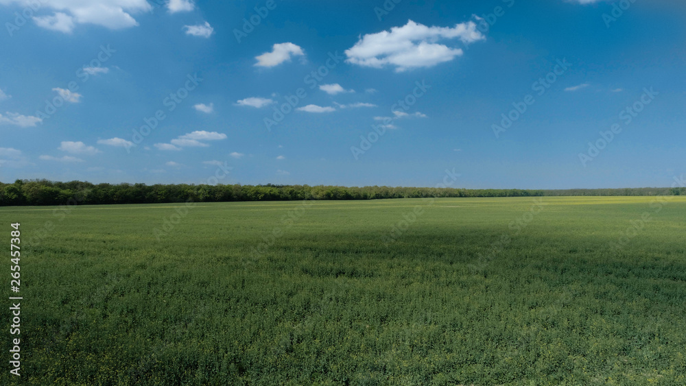 Bright blue skies and green fields