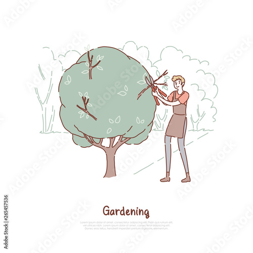 Young man cutting bush, guy in apron holding scissors, plant care, gardening service worker, summer horticulture banner