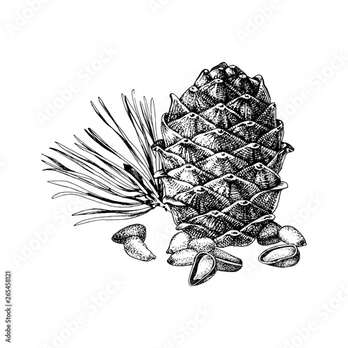 Hand drawn cedar bump and pine nuts