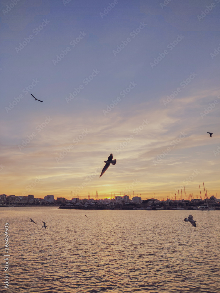 Obraz premium Parchal 2018