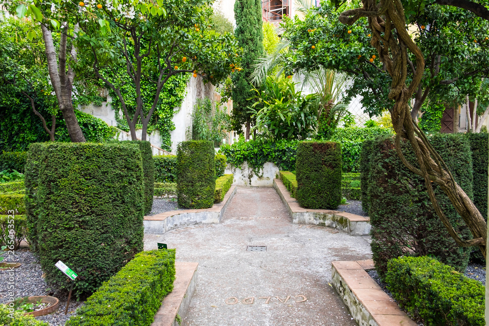Garten der Minerva in Salerno in Italien Garten der Minerva in Salerno in Italien