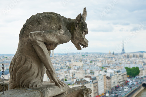 Chimera of Notre-Dame Cathedral and view of Paris from above. France