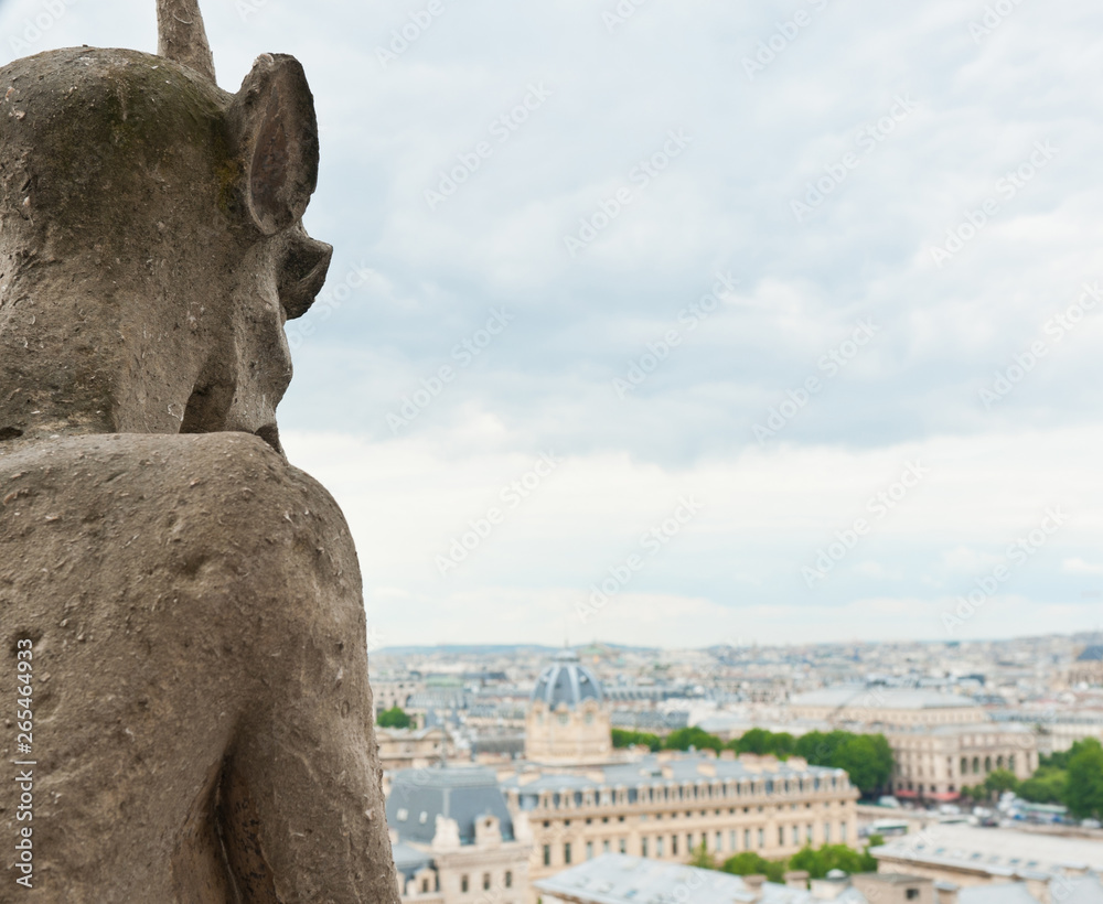 Chimeras of Notre-Dame Cathedral and view of Paris in summer cloudy day. France
