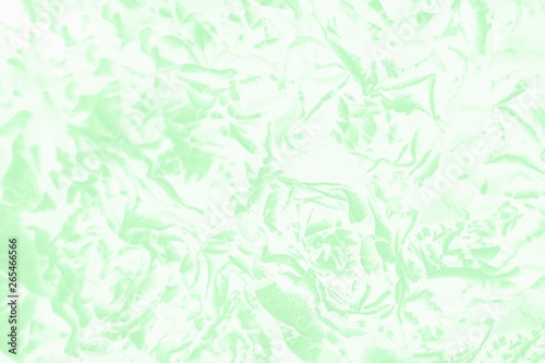 White and green mint color background with a delicate rose floral pattern