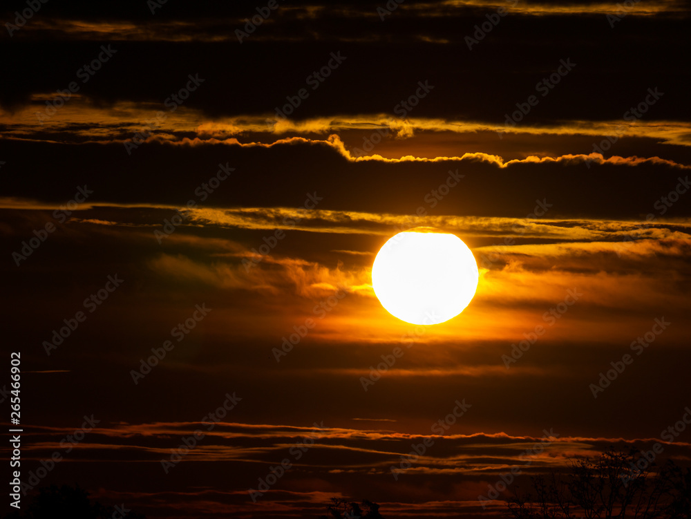 Sun is Shining Gold up in The Countryside Sun is Shining Gold up in The Countryside