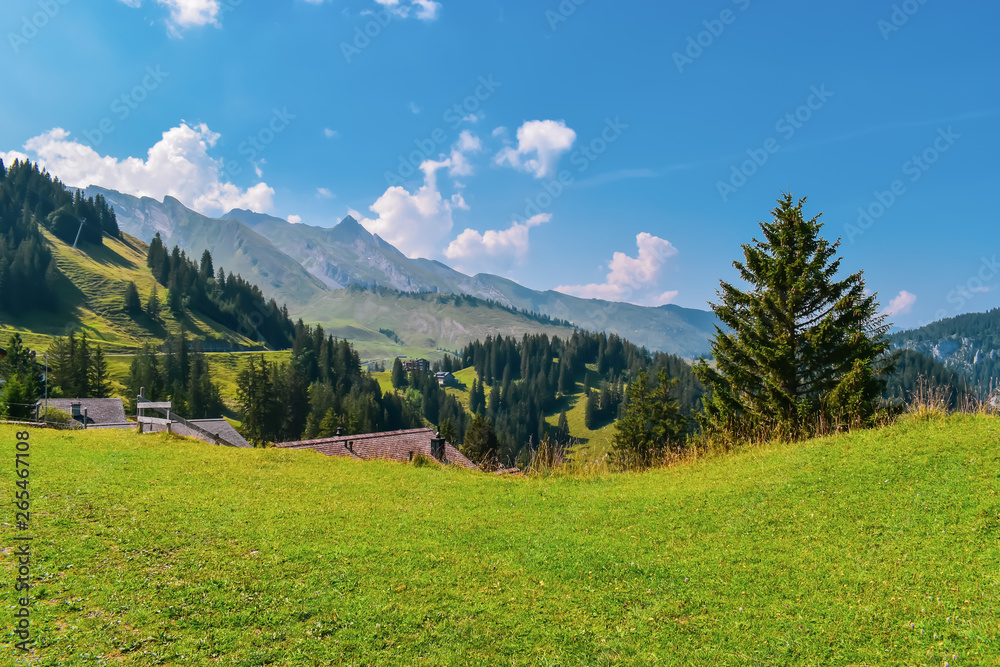 Beautiful summer panoramic view of the Swiss Alps.