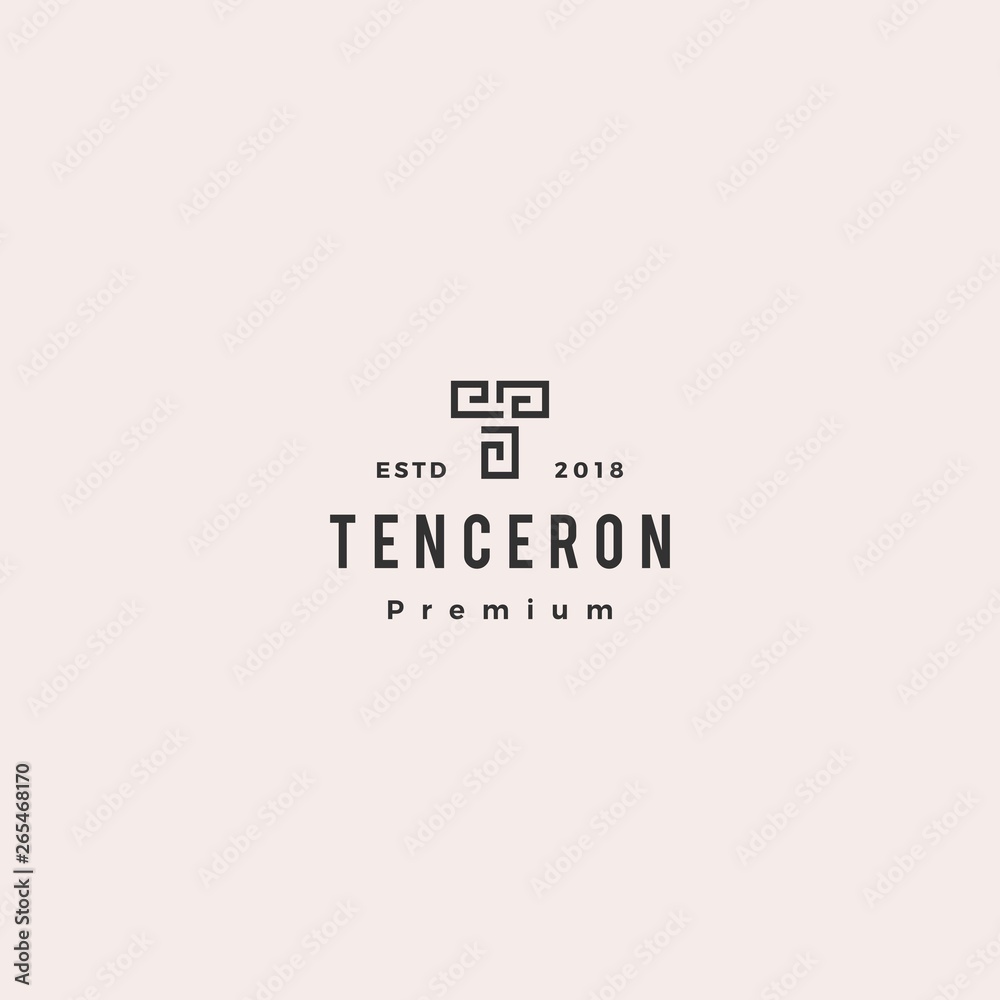 T letter logo vector icon illustration
