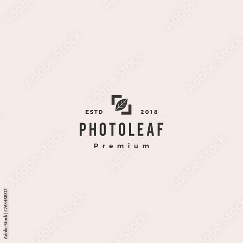 photo leaf logo vector icon illustration