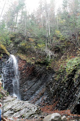 forest waterfall in mountains