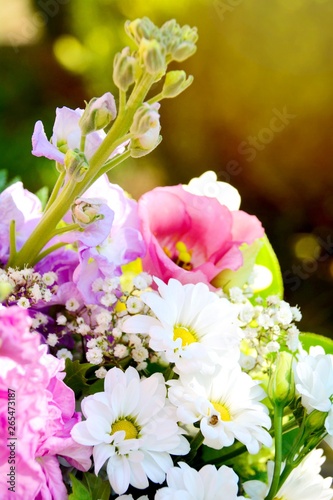 Frühlingsblumen - Blumenstr...