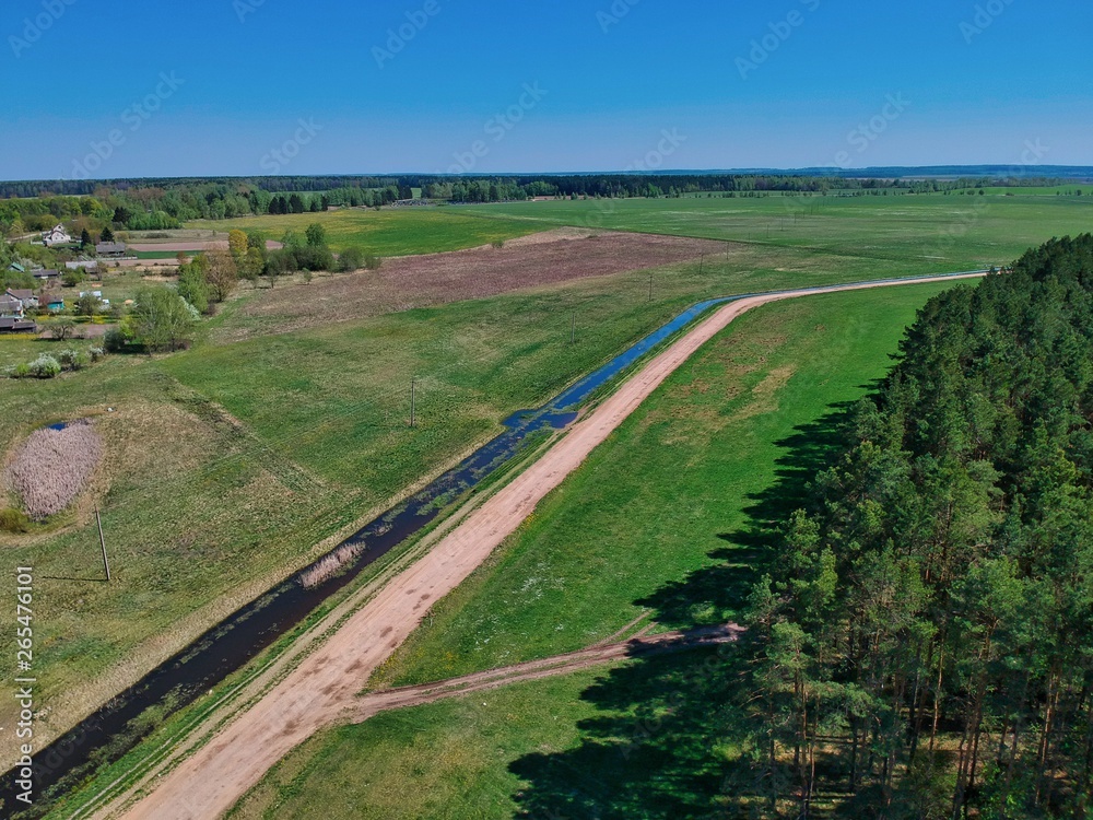 Aerial view of the edge of pine forest in Minsk Region of Belarus