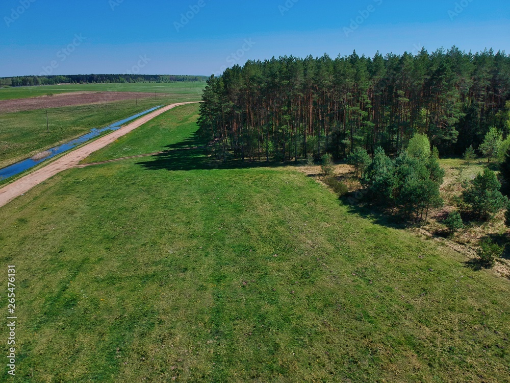Aerial view of the edge of pine forest in Minsk Region of Belarus