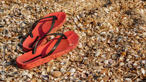 beach Slippers on a sandy beach with small shells