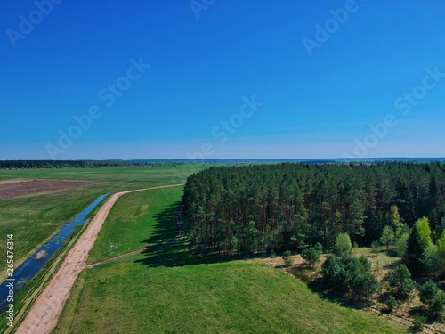 Drone photo of a forest in Minsk Region of Belarus