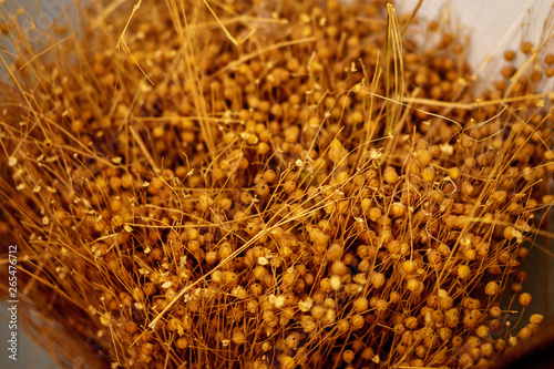 bouquet of dry orange plants