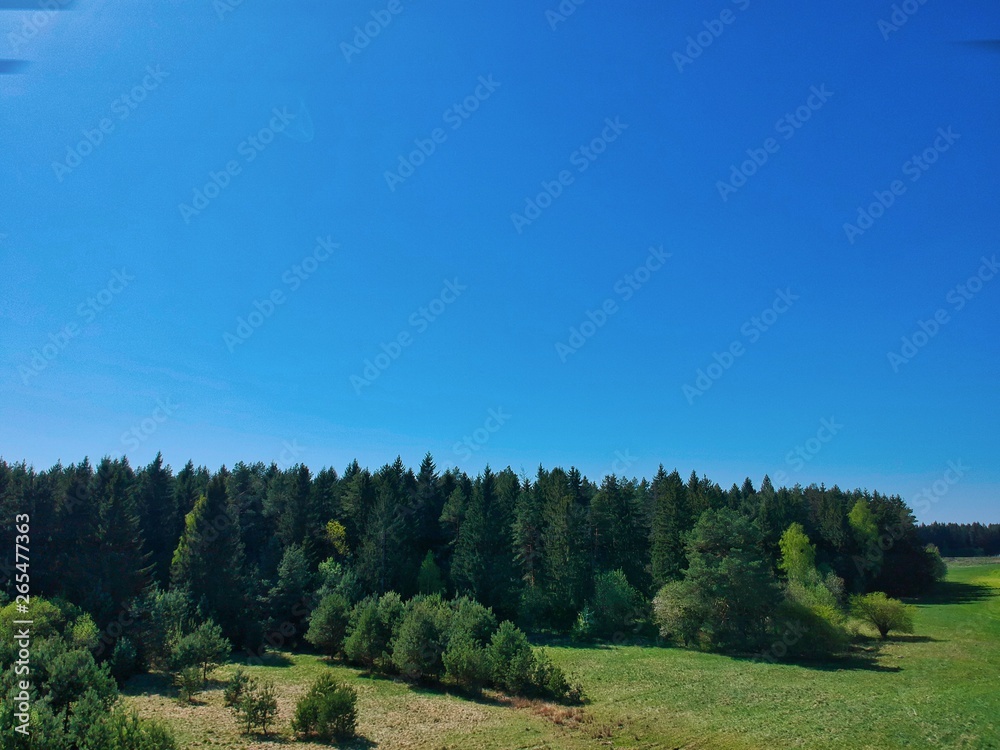 Aerial view of a forest in Belarus Aerial view of a forest in Belarus