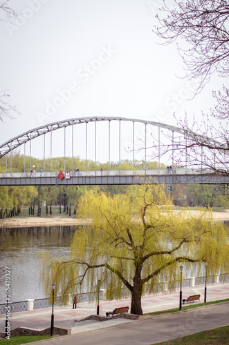 Fototapeta Naklejka Na Ścianę i Meble -  bridge