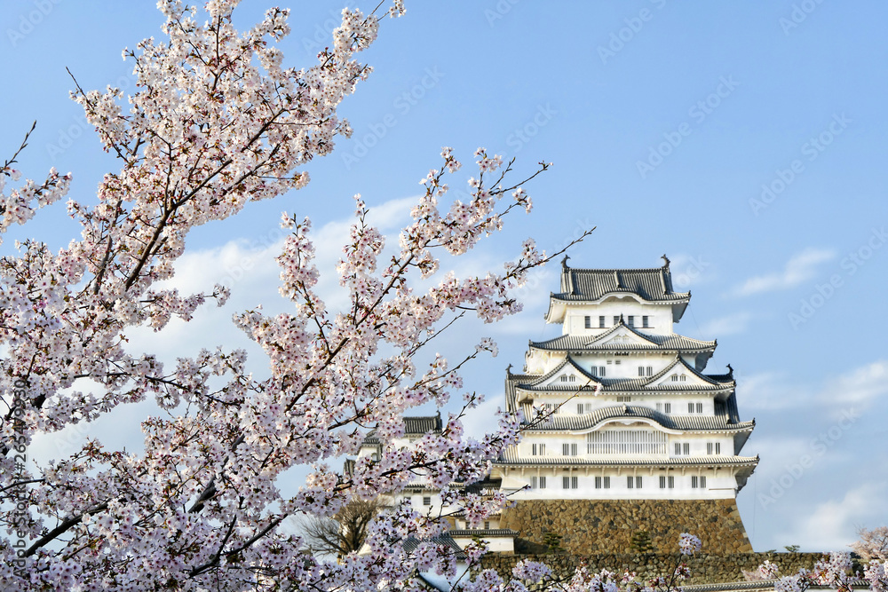 Beautiful view of Himeji castle and Cherry blossom (Sakura) with blue sky at Himeji town, Hyogo, Japan Beautiful view of Himeji castle and Cherry blossom (Sakura) with blue sky at Himeji town, Hyogo, Japan