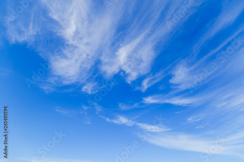 Sky and cloud panorama