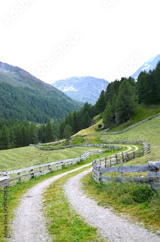 Berglandschaft in Südtirol - Heuernte auf der Alm - Wanderweg mit Bretterzaun