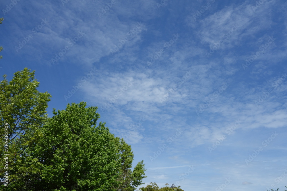 青空