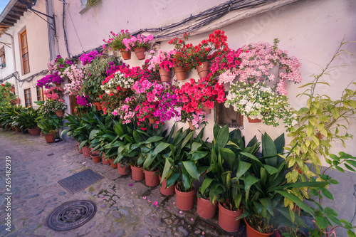 Fototapeta Naklejka Na Ścianę i Meble -  Typical spanish white walls street, full of flowerpots on the floor and on the walls, in the rural town of Hervas, Extremadura, Spain.