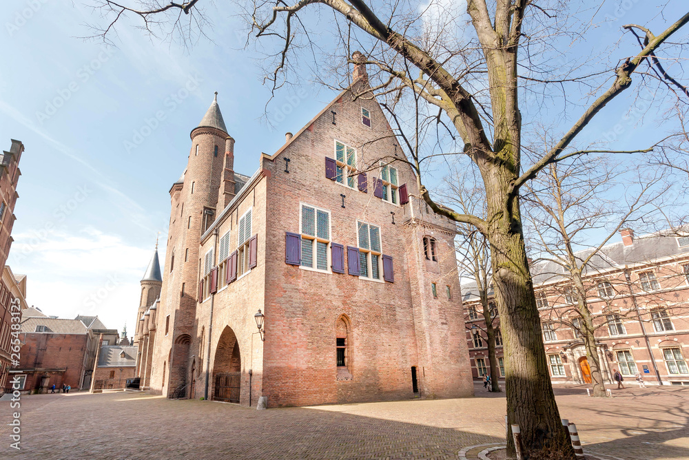 Walls of 13th century area of Binnenhof and office of the Prime Minister of the Netherlands, Hague historical city
