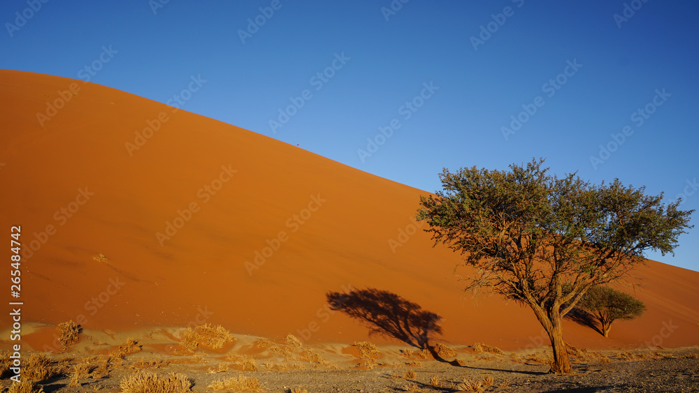 Namibian Sand dunes