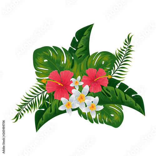 exotic tropical flowers and leafs decoration