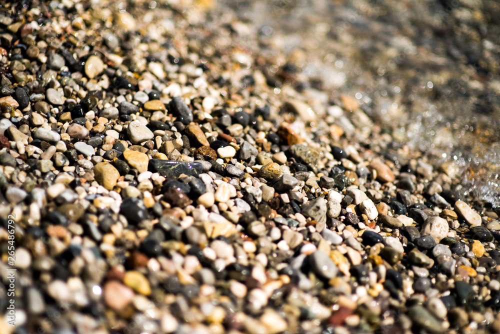 A swift mountain river, shore of pebbles. Flows through the coniferous forest A swift mountain river, shore of pebbles. Flows through the coniferous forest