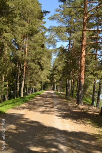 alley in the park