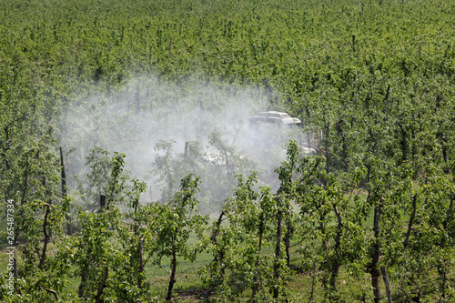 Obraz na plátně Tractor spraying insecticide or fungicide in apple orchard