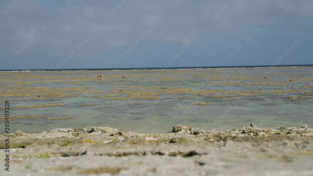Wide still shot of spreading remains of dead coral at the beach, Lady Elliot Island, Australia. Wide still shot of spreading remains of dead coral at the beach, Lady Elliot Island, Australia.