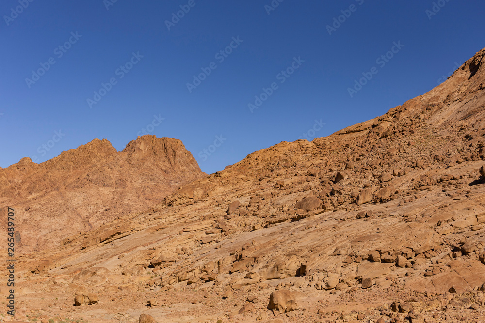 Egypt. Mount Sinai in the morning at sunrise. (Mount Horeb, Gabal Musa, Moses Mount). Pilgrimage place and famous touristic destination.