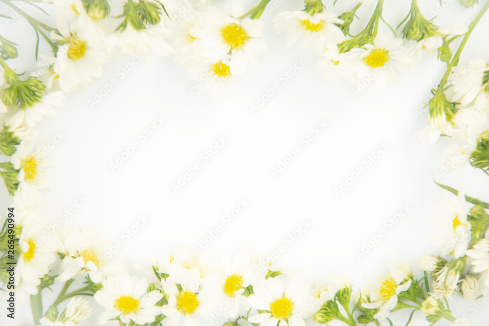 Flowers composition. Border made of daisy white flowers. Flat lay, top view - obrazy, fototapety, plakaty 