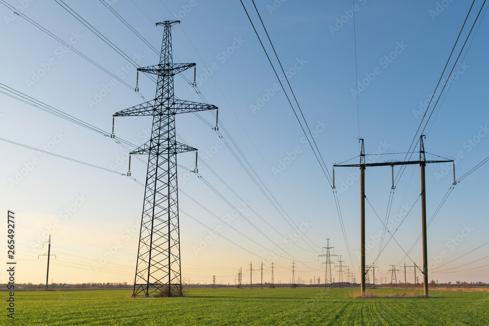 High voltage lines and power poles and green agricultural landscape during sunrise.