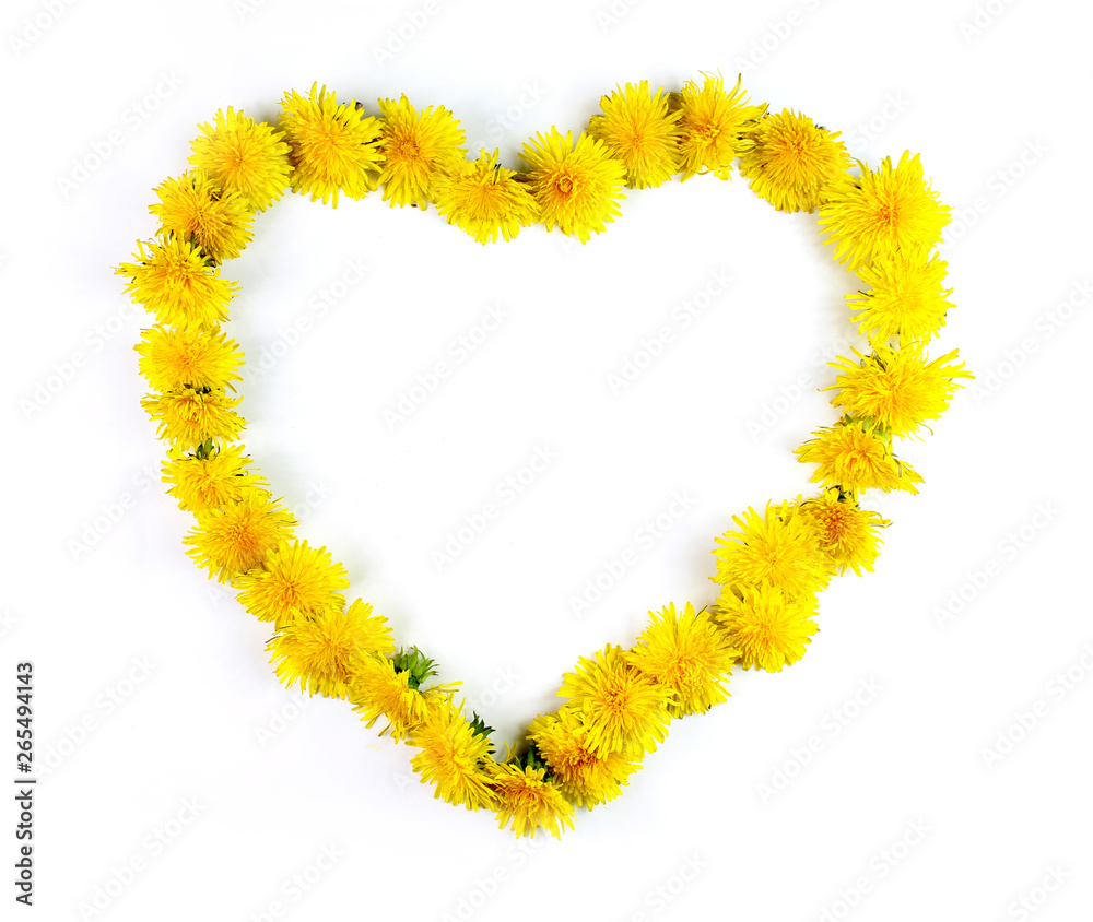 Obraz premium Simple dandelions heart isolated on white background