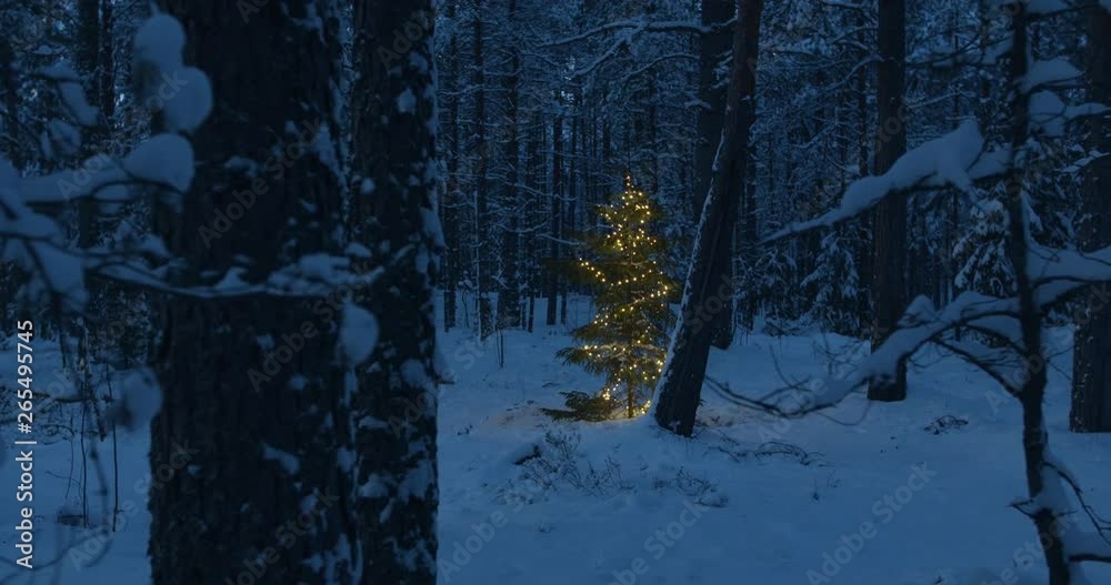 Christmas tree with lights in deep forest