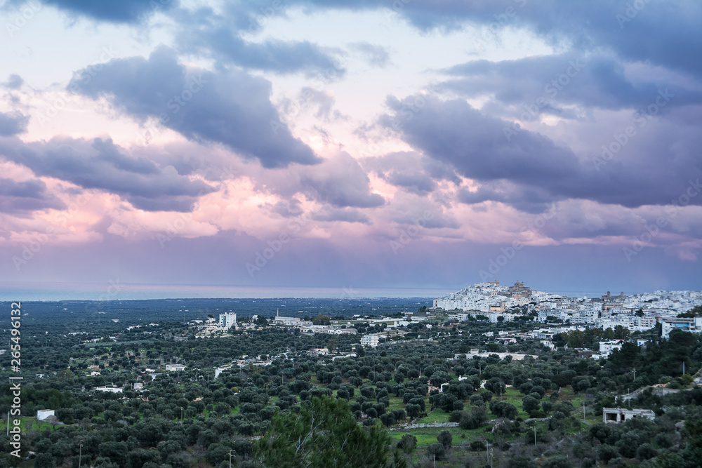 Ostuni and plantations of olive trees in Puglia at sunset (Italy)