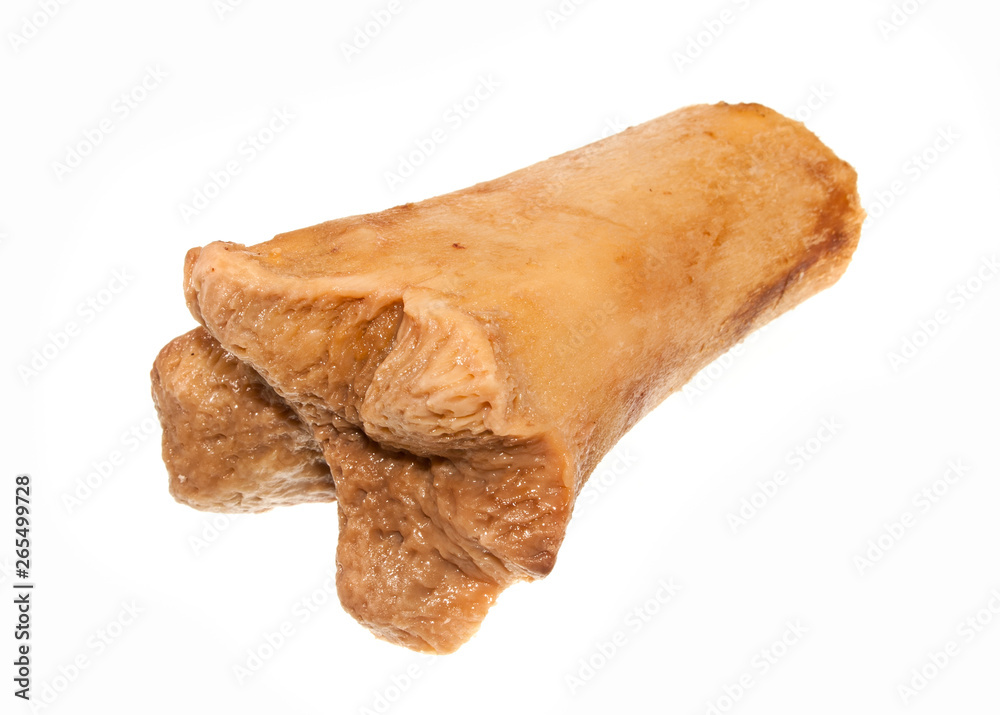bone isolated on white background bone isolated on white background