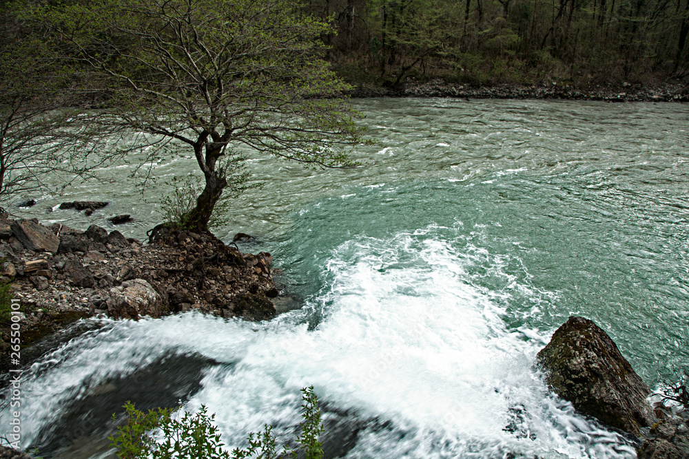 Fototapeta premium Spring in the Caucasus Mountains